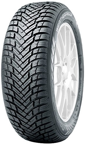 Scheda Variante Pneumatico &rsaquo; Marca: Nokian &rsaquo; Modello: Weatherproof